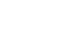 villa leadership